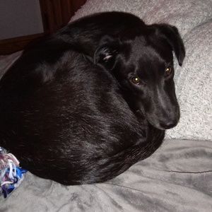 Meet your Posher, Ellie